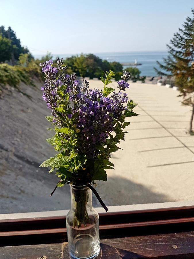 Family Hotel Venera Каварна Экстерьер фото